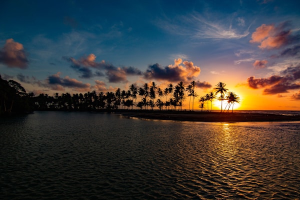 What to See in Trinidad and Tobago: A Travel Guide