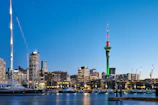 city skyline during night time