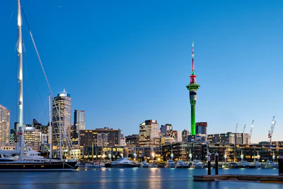 city skyline during night time
