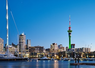 city skyline during night time