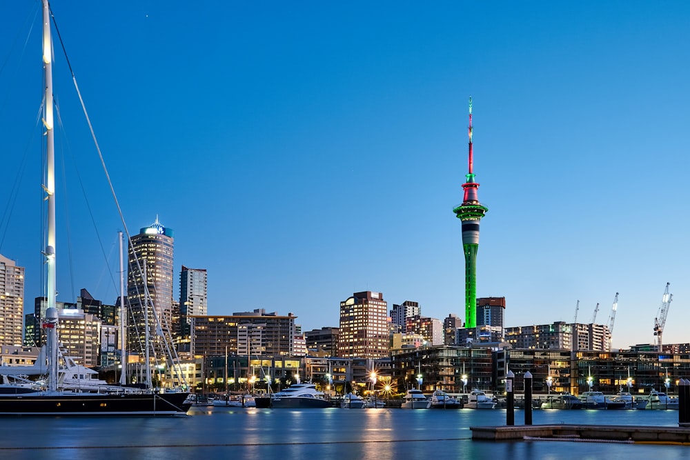 city skyline during night time