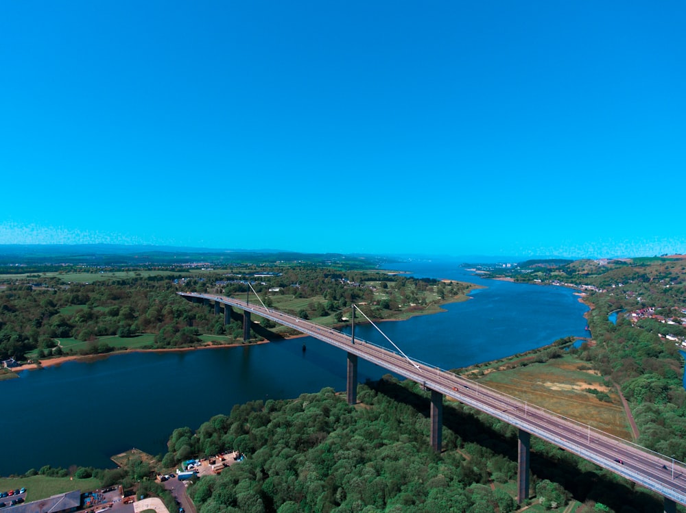 aerial view of green trees near body of water during daytime