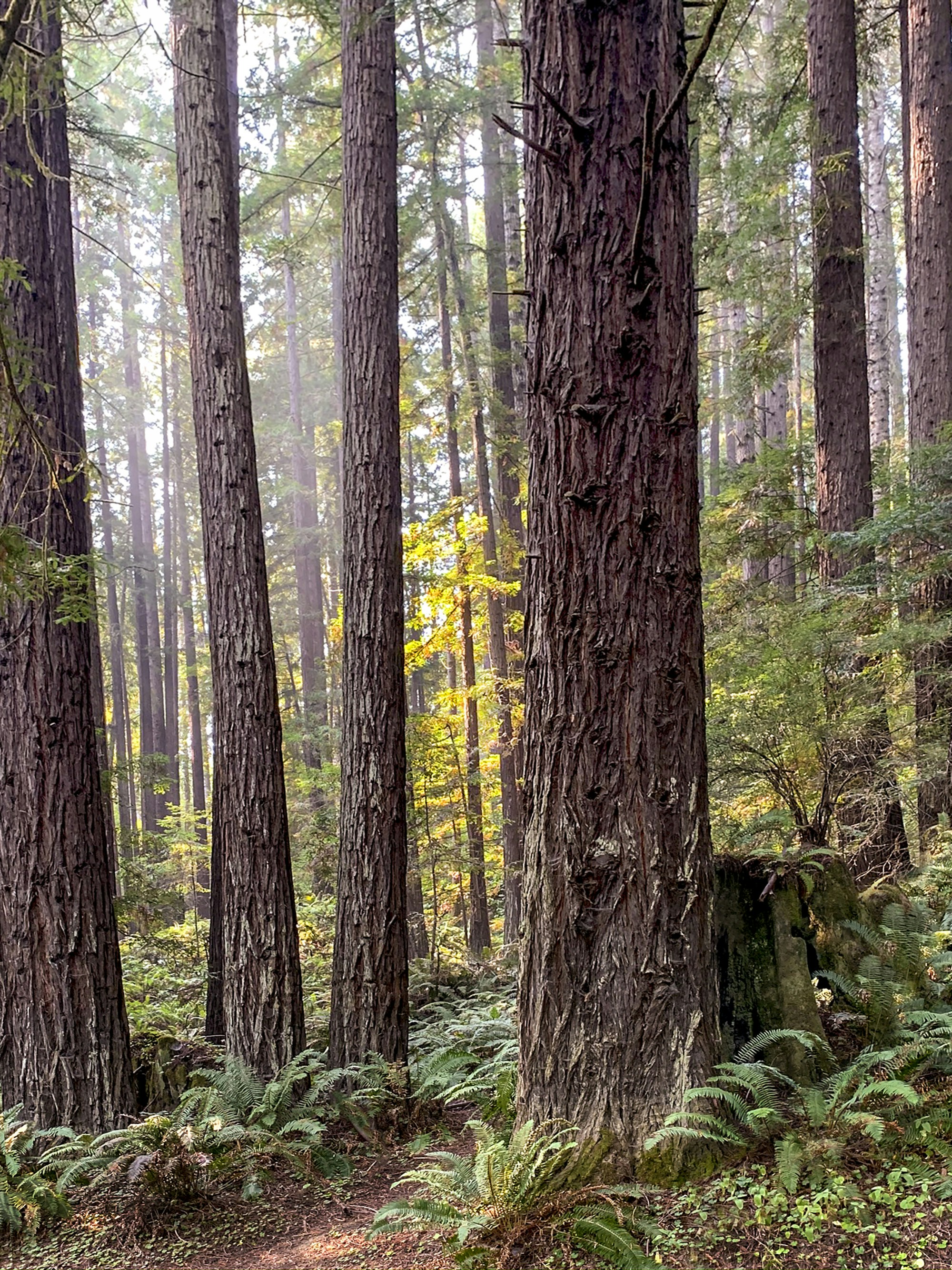 Photo by sterlinglanier