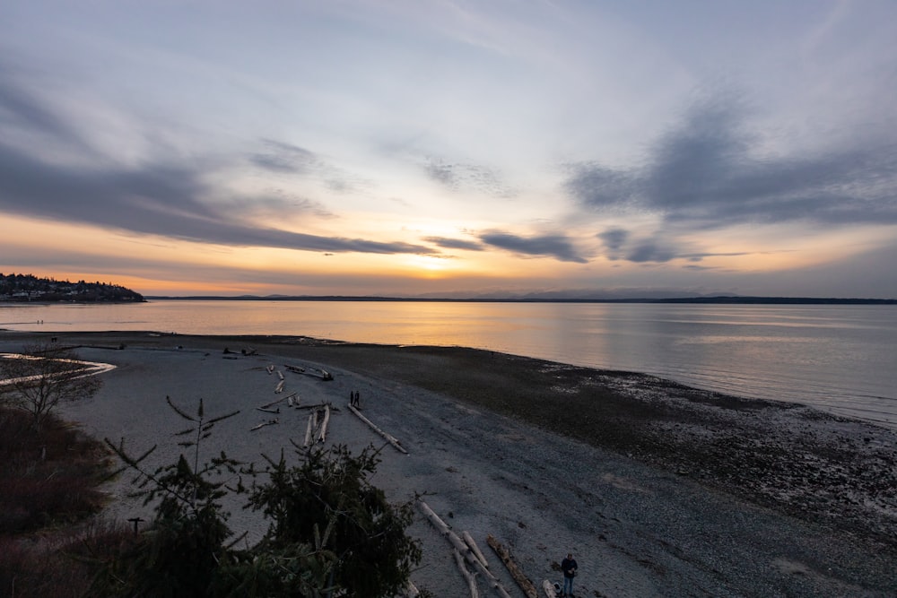 green grass on gray sand near body of water during sunset