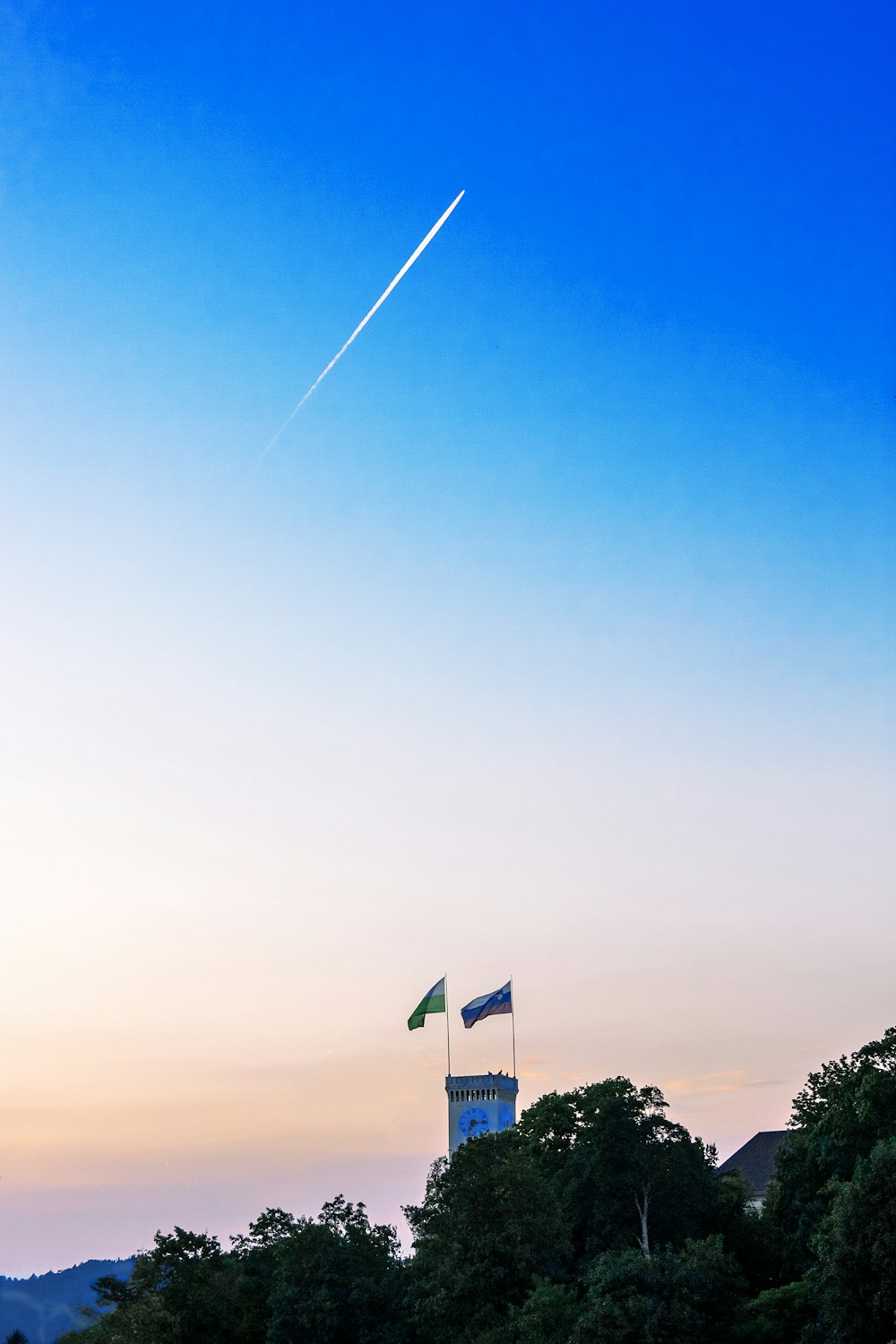 Grüne Bäume unter blauem Himmel tagsüber