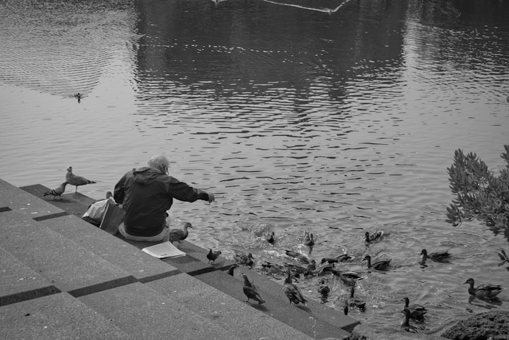 Feeding the Ducks