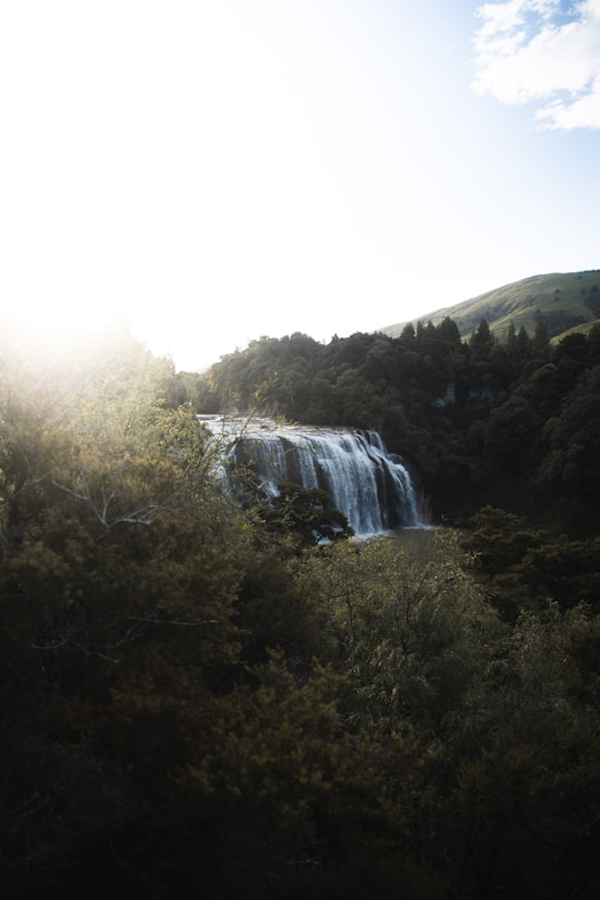 waterfalls in the middle of green trees in Waihi Falls Road New Zealand