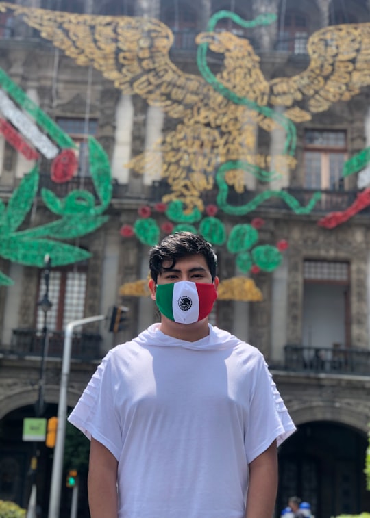 man in white crew neck t-shirt wearing white mask in Zócalo Mexico
