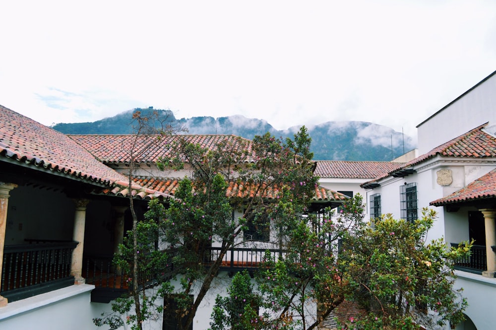 white and brown concrete house near green trees during daytime