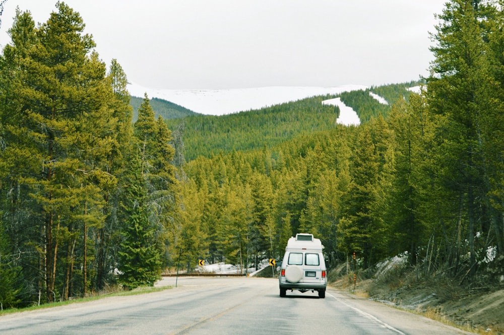 white suv on road near green trees during daytime