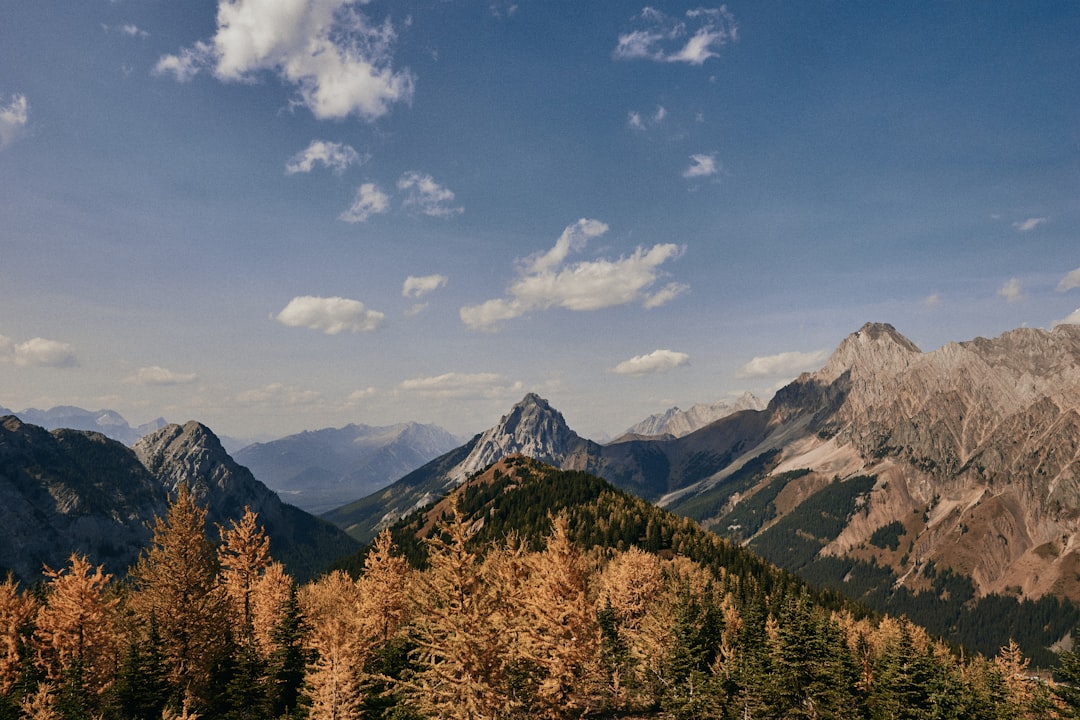 green trees and mountains under blue sky during daytime