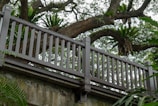 A wooden railing with intricate detailing in front of large, lush trees providing a dense and natural backdrop. The foliage is abundant with ferns and large tree branches filling the space behind and above the railing.