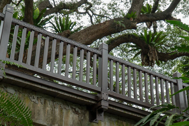 A freshly built cedar porch railing blending into the lush Pacific Northwest forest backdrop.