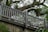 A wooden railing with intricate detailing in front of large, lush trees providing a dense and natural backdrop. The foliage is abundant with ferns and large tree branches filling the space behind and above the railing.