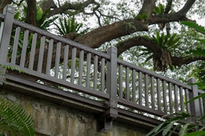 A wooden railing with intricate detailing in front of large, lush trees providing a dense and natural backdrop. The foliage is abundant with ferns and large tree branches filling the space behind and above the railing.