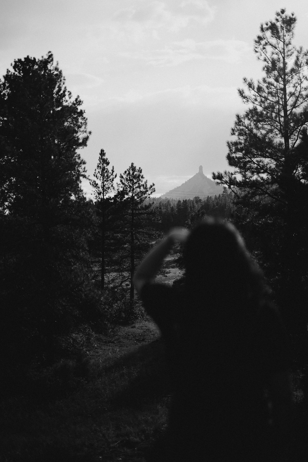 grayscale photo of woman standing near trees
