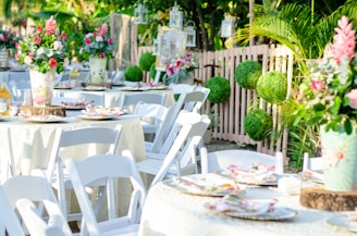 green cactus on white round table