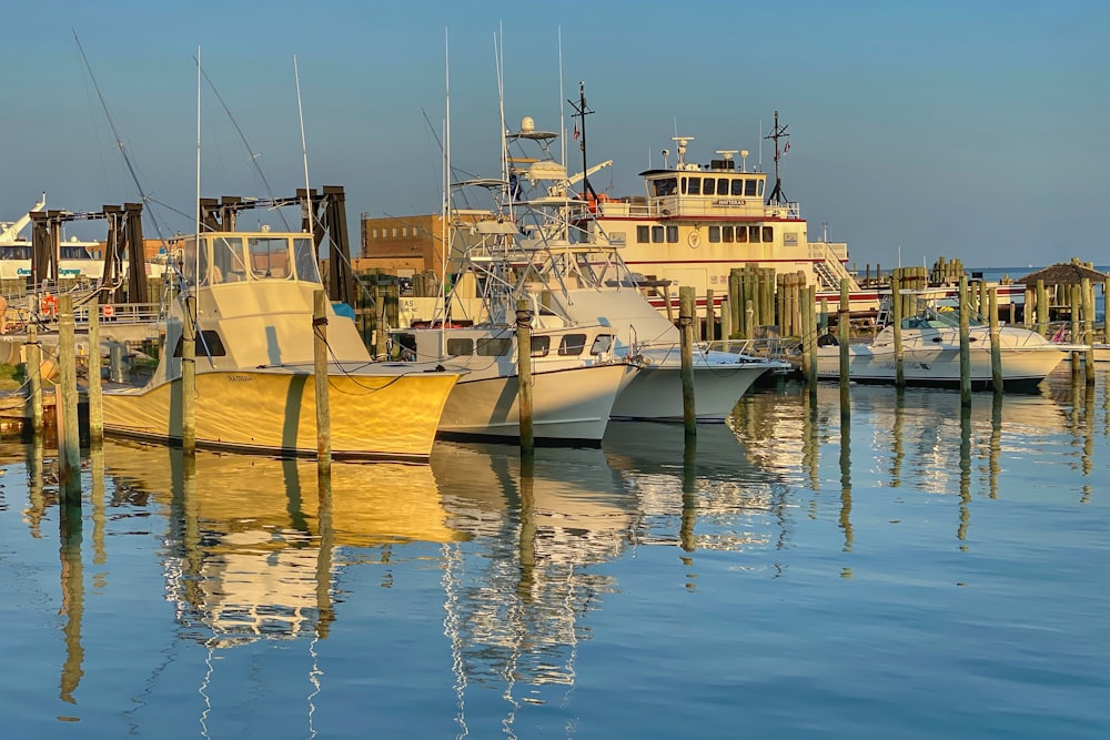 white and brown boat on water during daytime