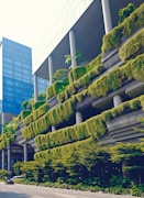 green trees on white concrete building during daytime