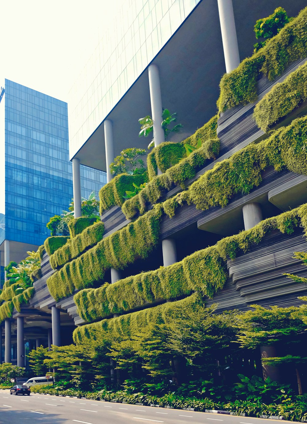 green trees on white concrete building during daytime