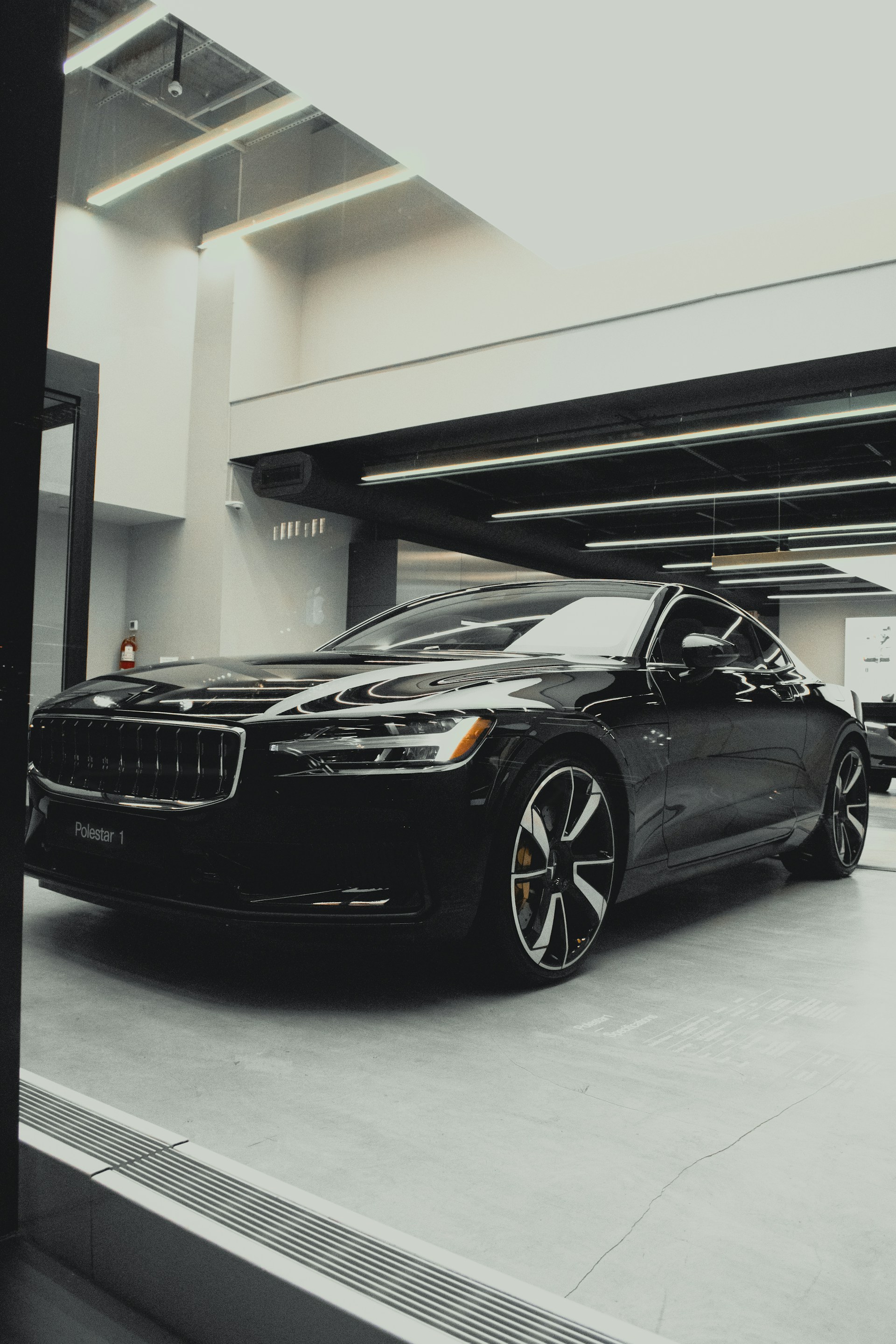woman holding dried flower