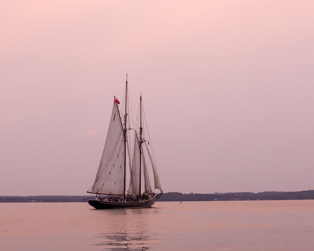 Voilier noir et blanc sur la mer pendant la journée