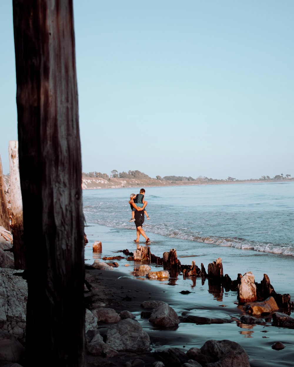 people on beach during daytime