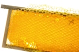 A close-up view of a rectangular frame filled with honeycomb. The hexagonal cells are composed of beeswax and filled with bright golden honey, glistening under the light. The structure is neatly organized and the honey appears dense and rich.