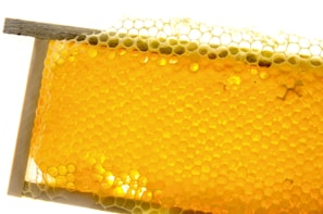 A close-up view of a rectangular frame filled with honeycomb. The hexagonal cells are composed of beeswax and filled with bright golden honey, glistening under the light. The structure is neatly organized and the honey appears dense and rich.
