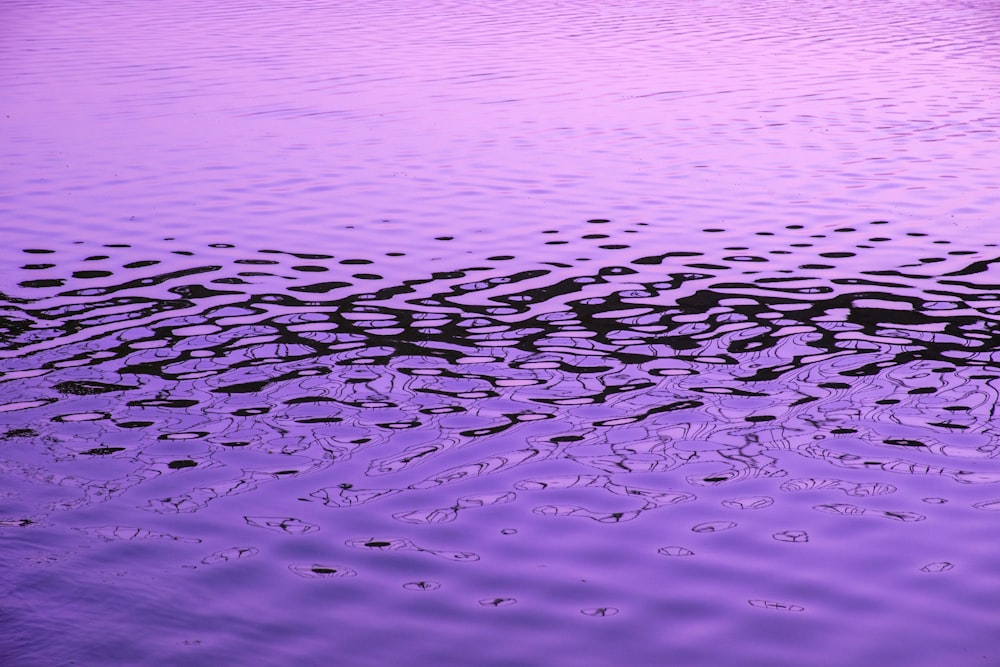 body of water during daytime