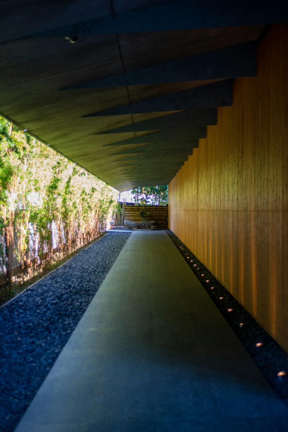 brown wooden hallway with green plants