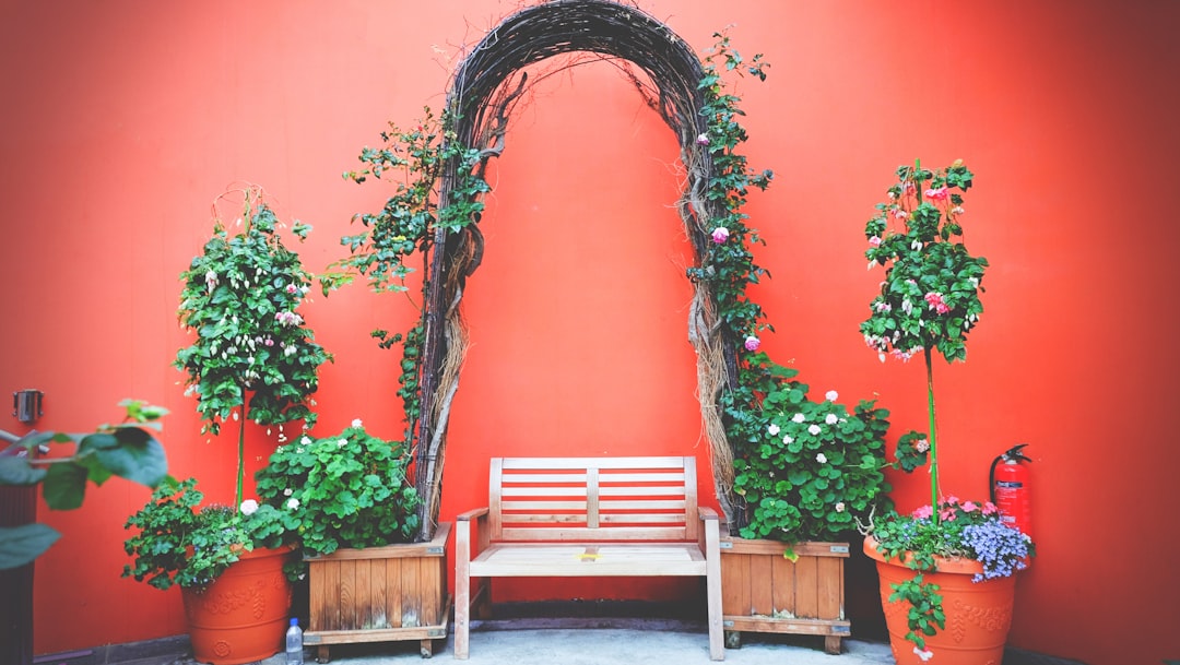 brown wooden bench beside red wall