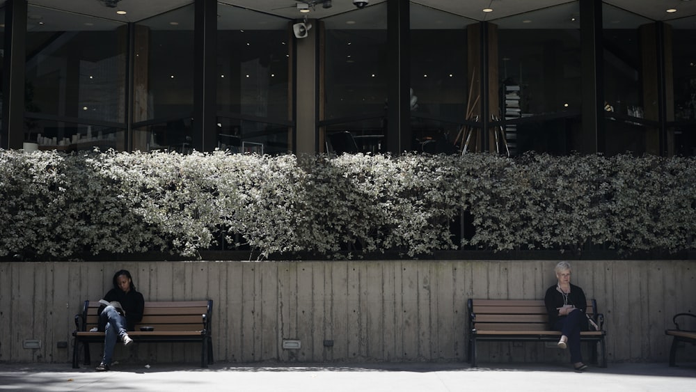 白い花の近くの茶色の木製ベンチ