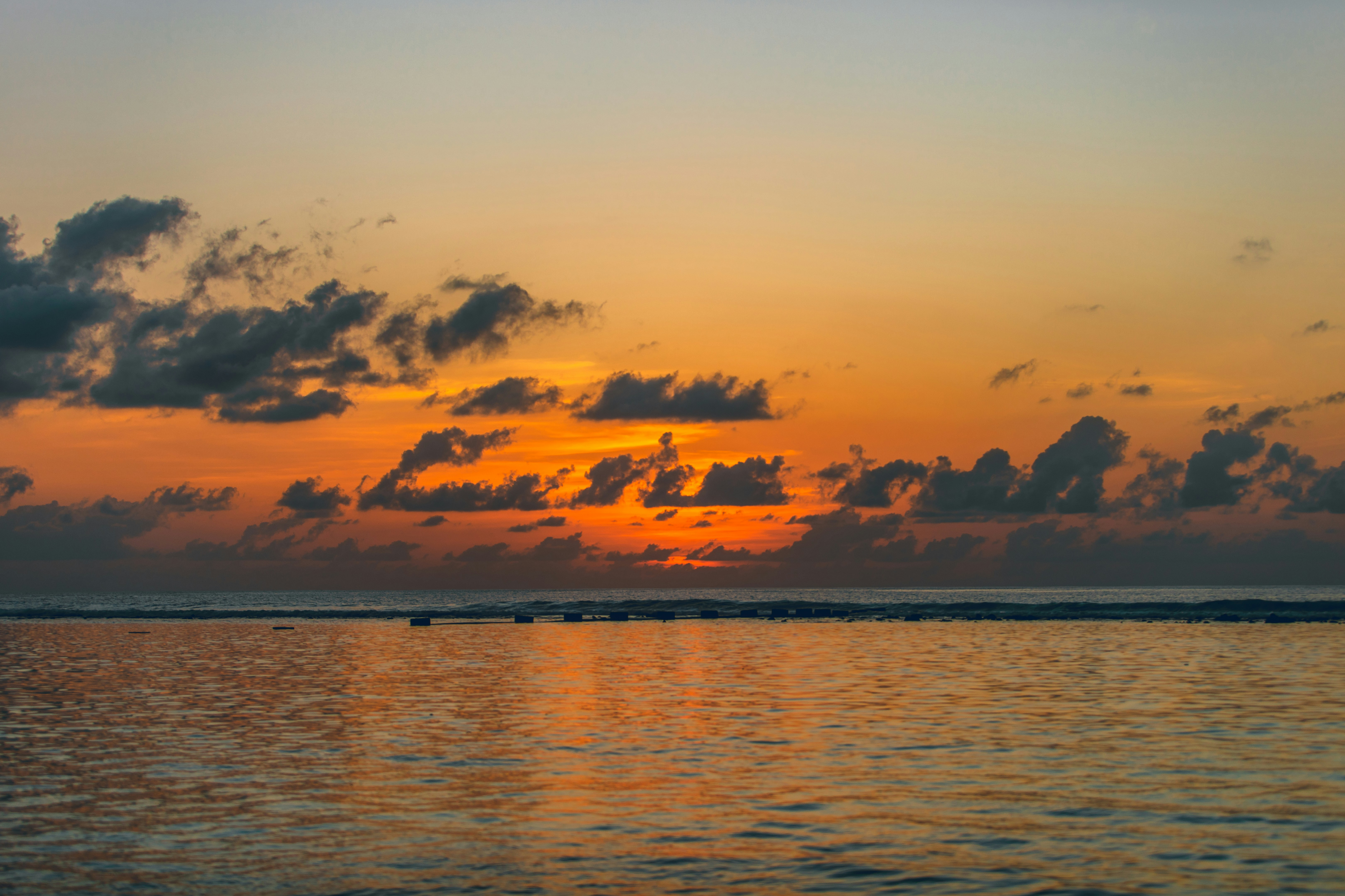 Photo by maahidphotos