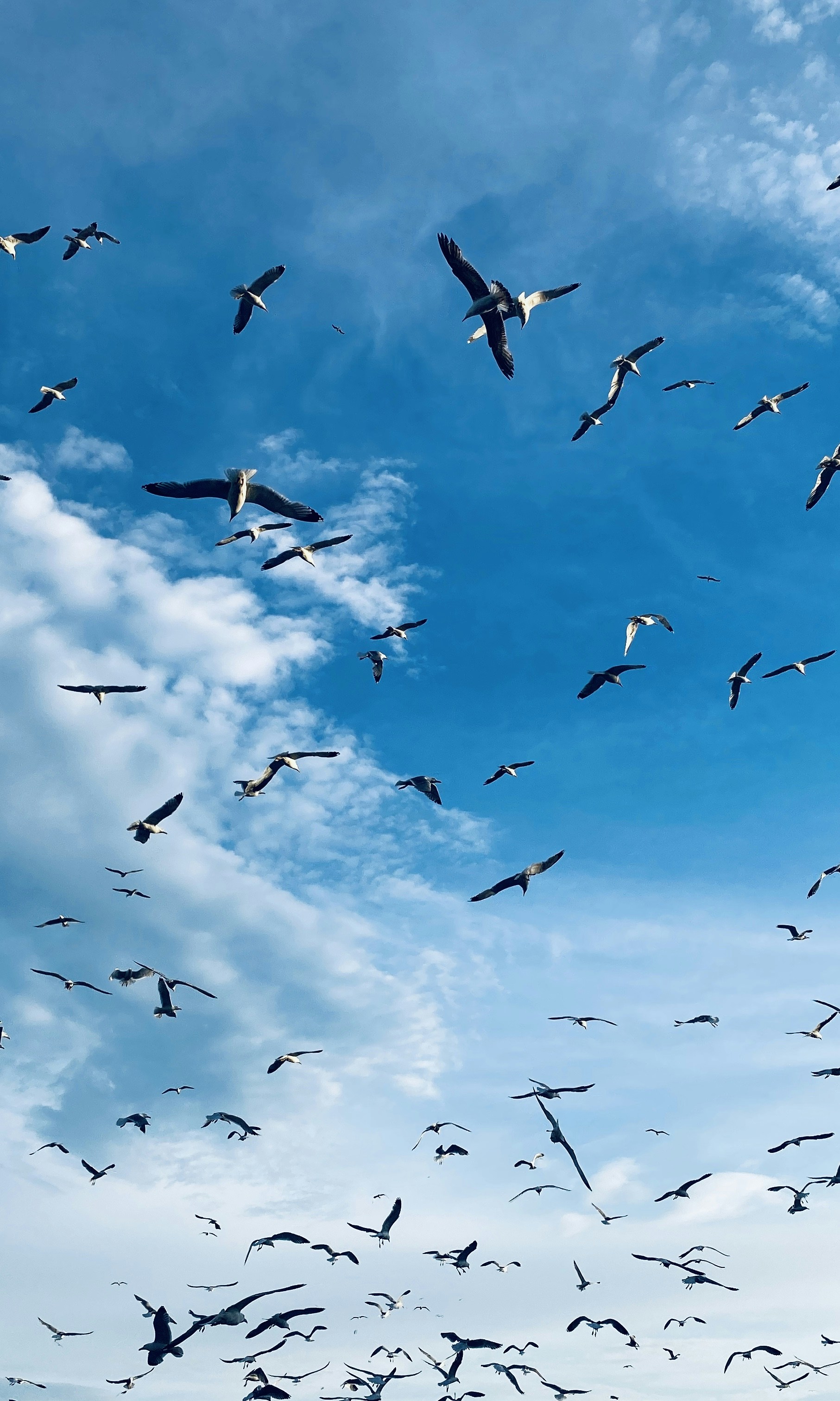 Photo by nazliatabey