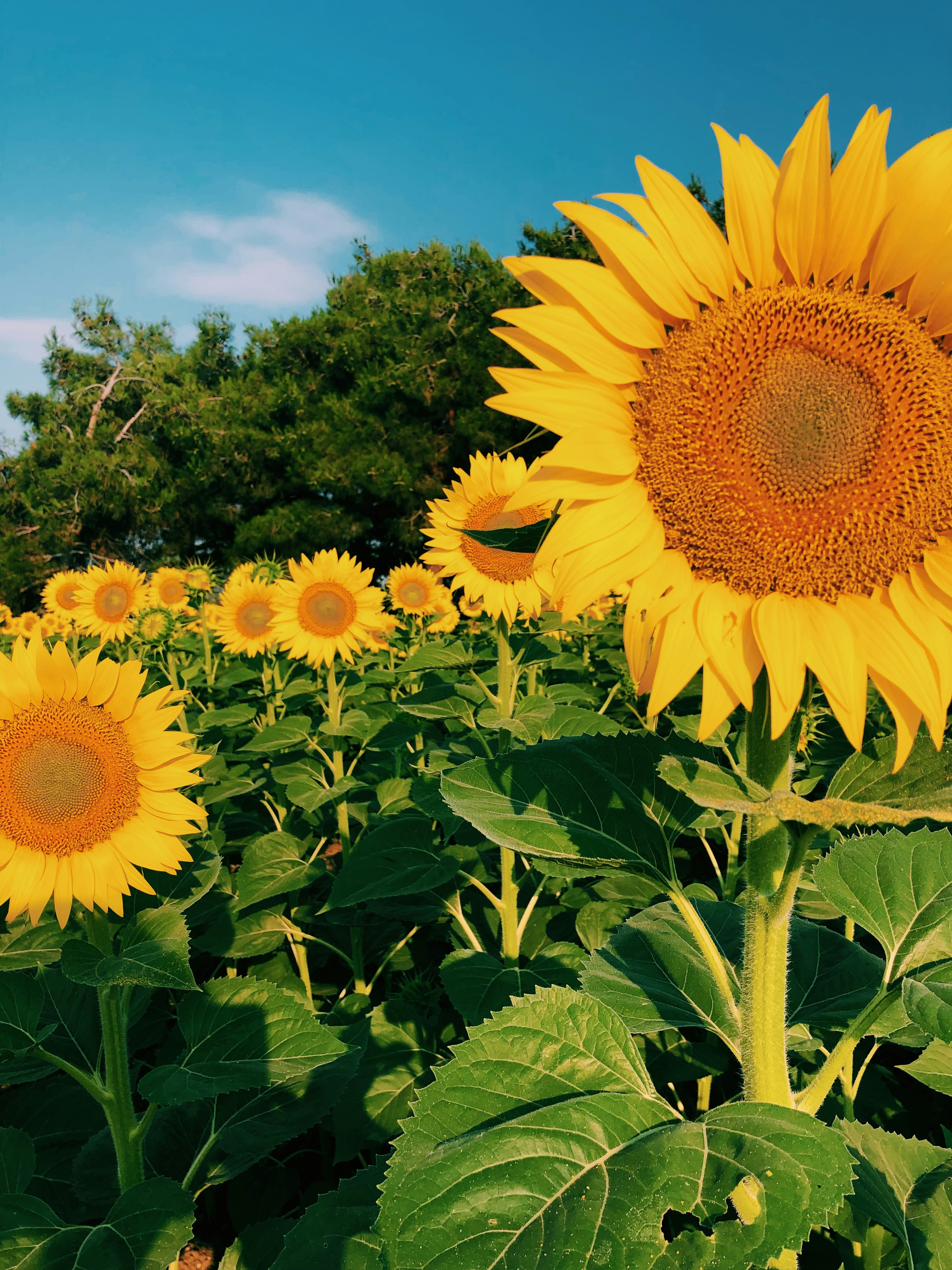 Photo by nazliatabey