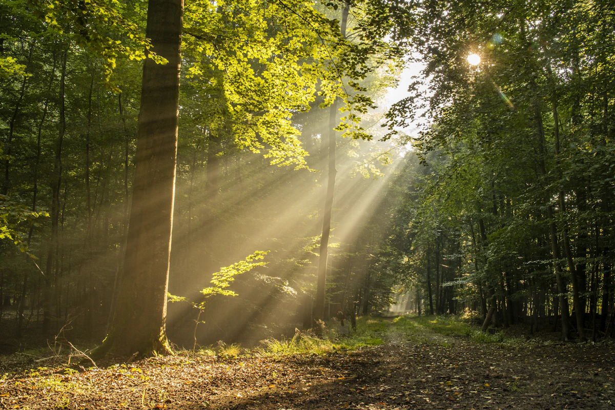 photo by Michael Held (@michaelheld) on unsplash