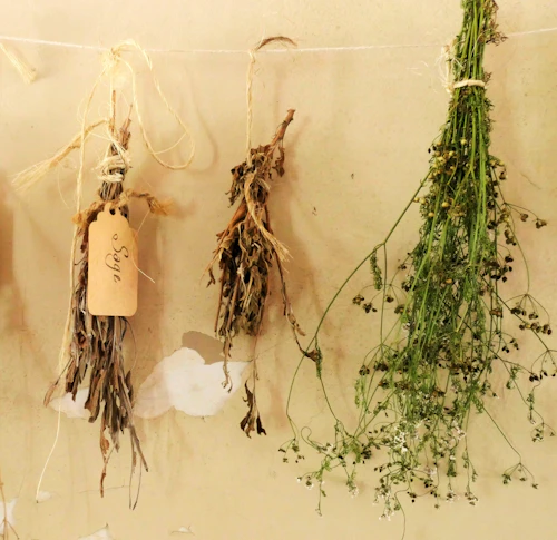 Ingredientes frescos