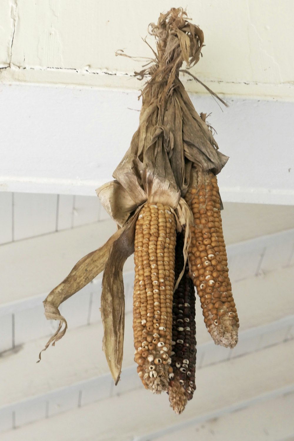 corn on white ceramic plate