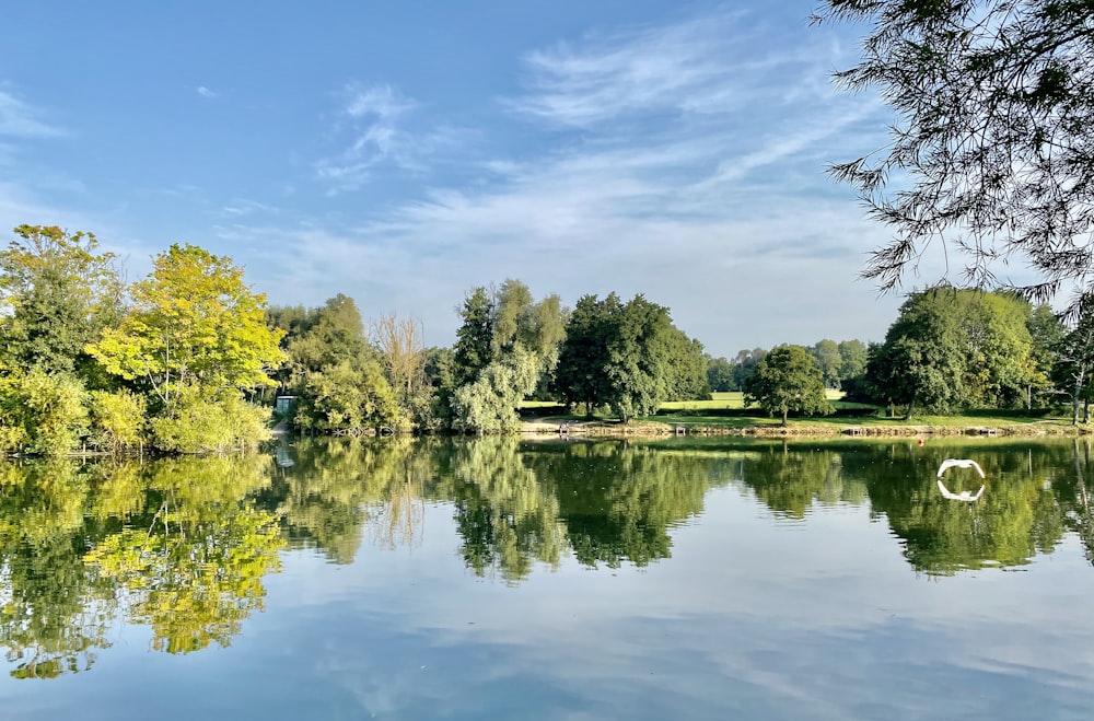 green trees beside lake under blue sky during daytime