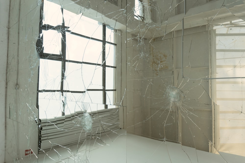 spider web on white ceramic tile