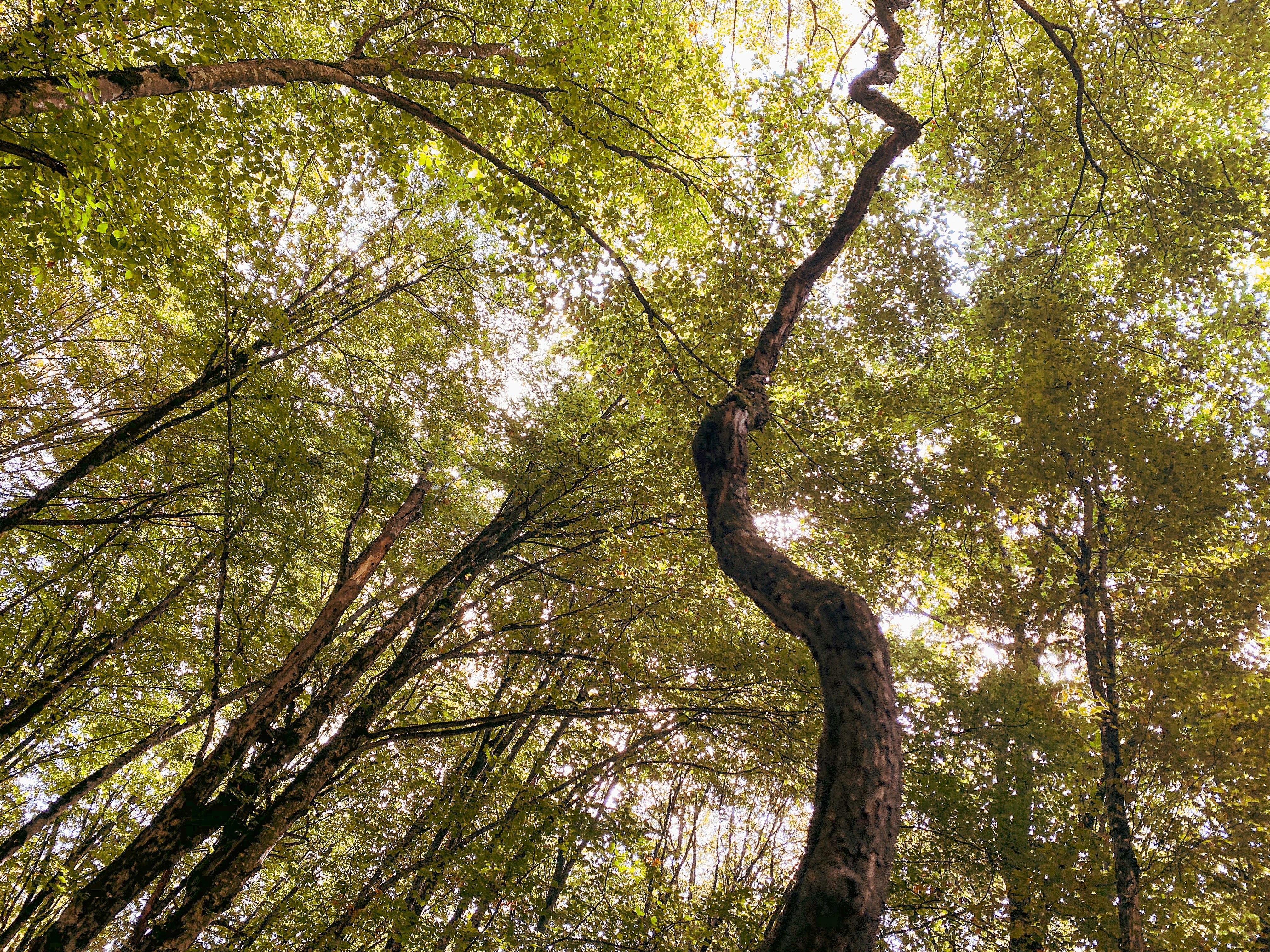 Photo by gularagudratli