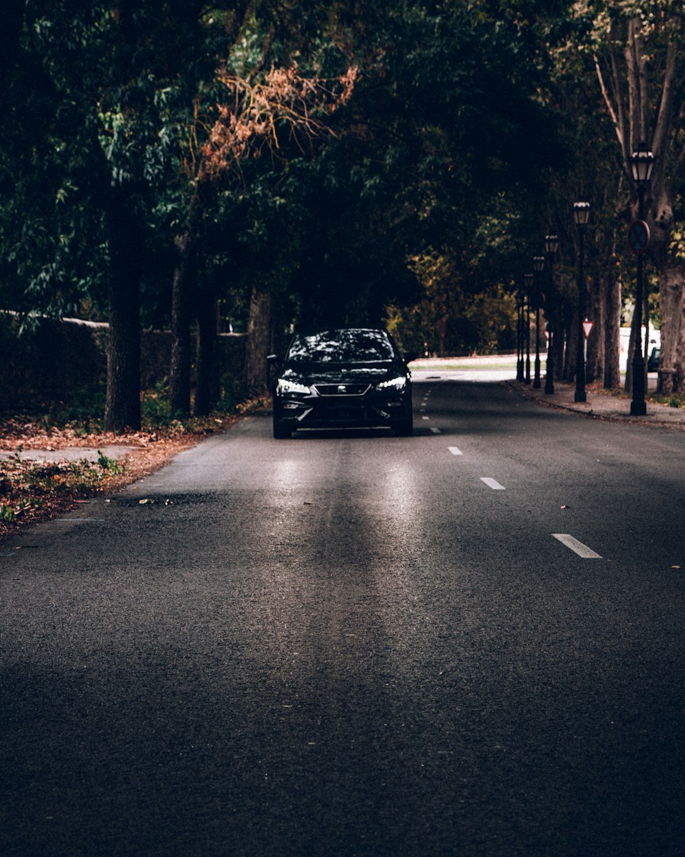 black car on road between trees during daytime