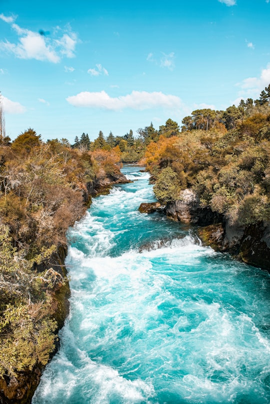 green trees beside river under blue sky during daytime in Huka Falls New Zealand