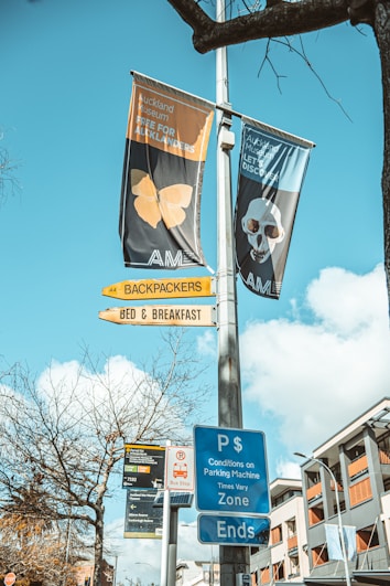 Colorful signs and banners are attached to a post against a clear blue sky. Two large museum banners display artwork and promotional text. Street signs beneath point to accommodations and provide parking information. A leafless tree and urban buildings are visible in the background.