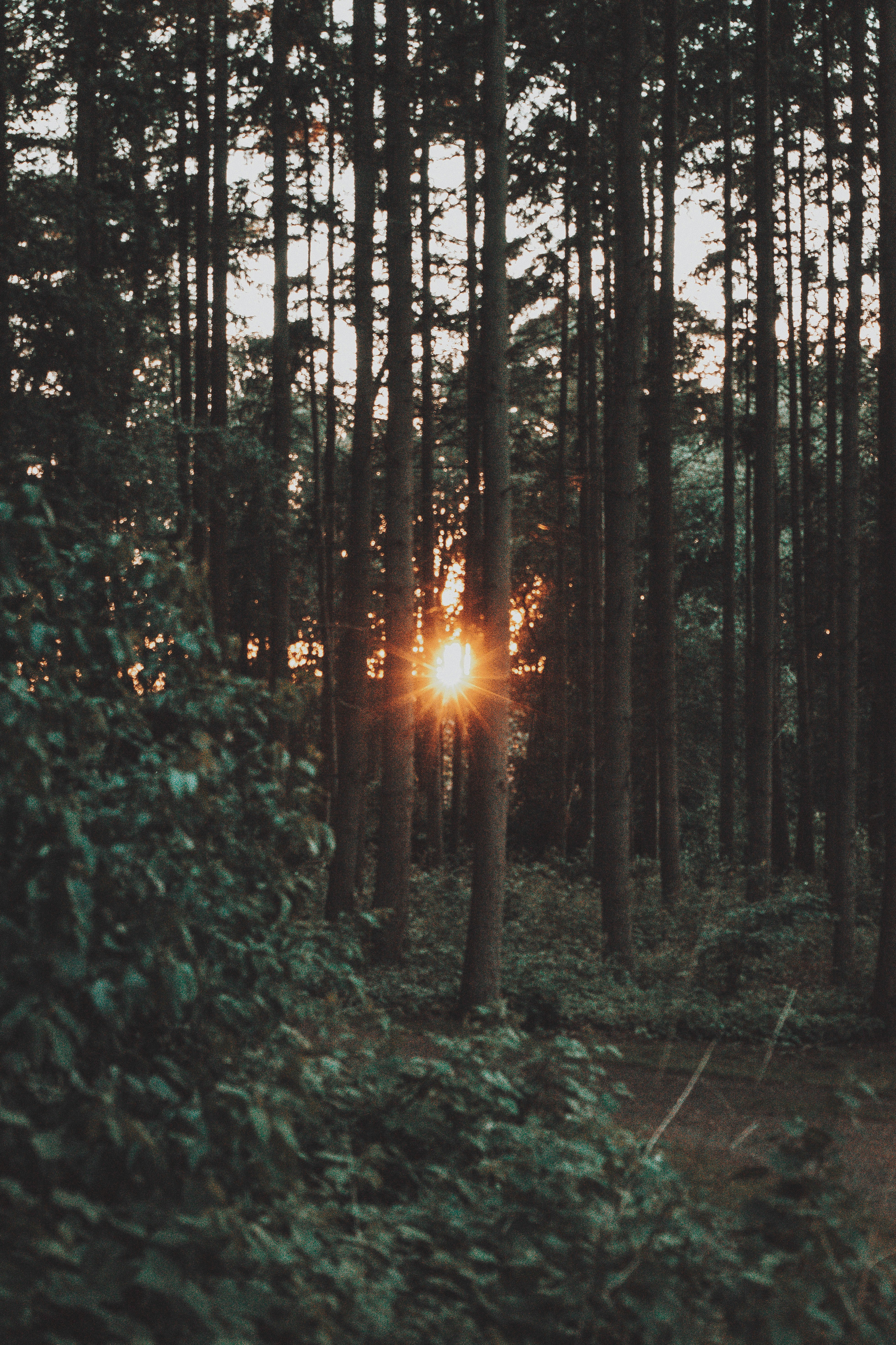 Photo by huefnerdesign