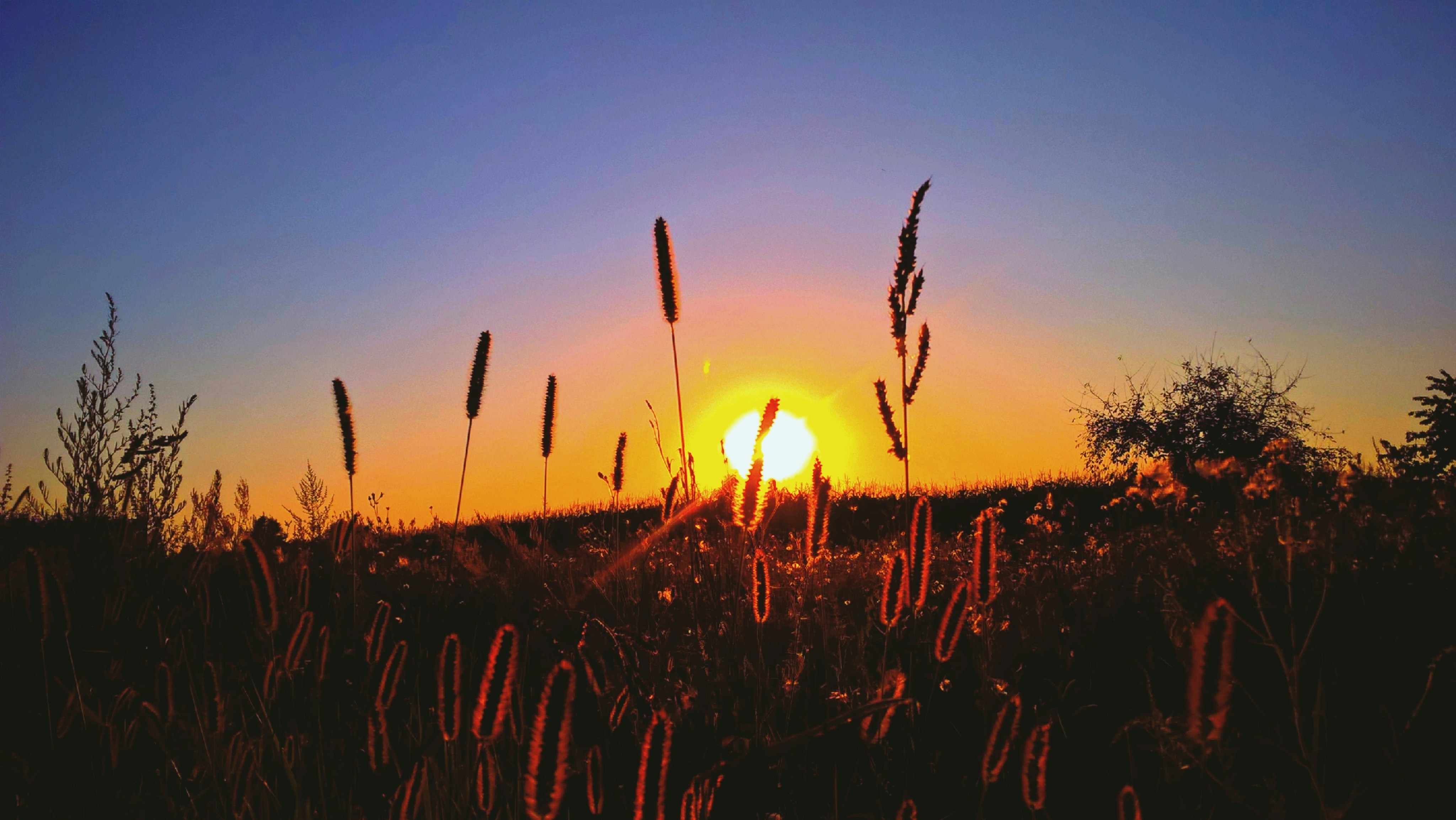 Photo by monkeyoutside