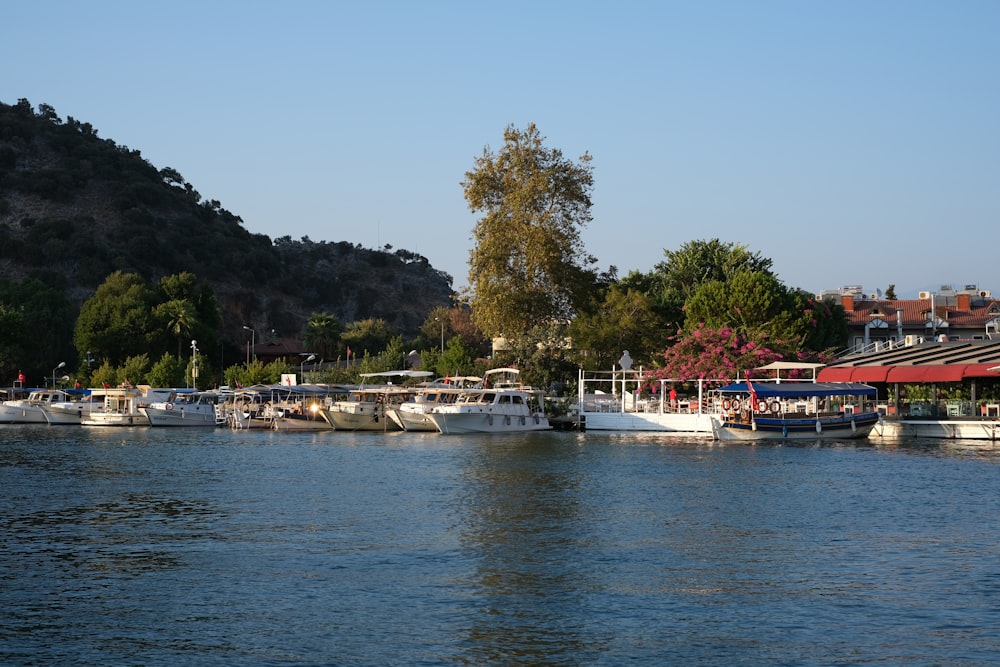 white and red boat on water near green trees during daytime