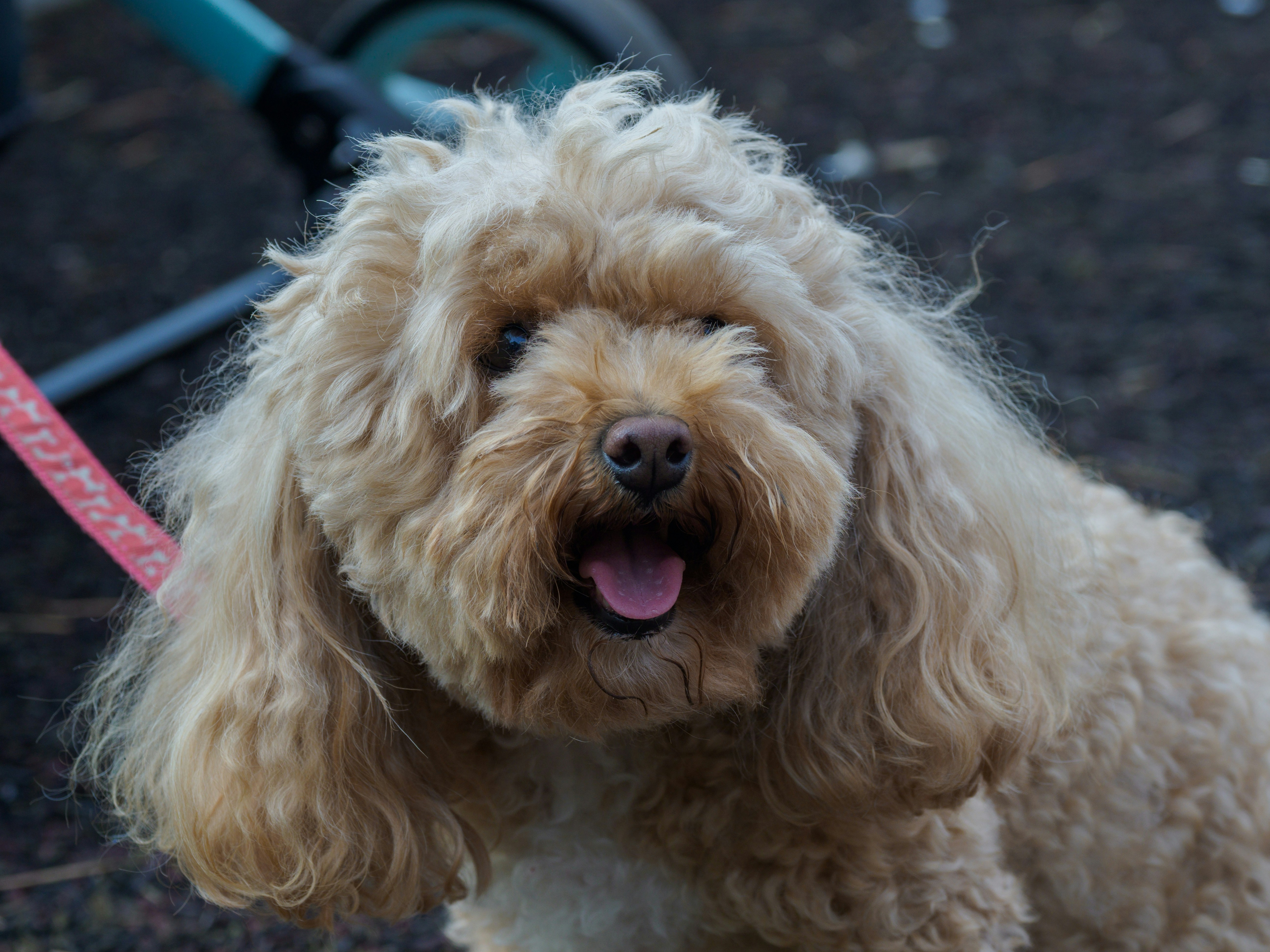 Photo by brett_jordan