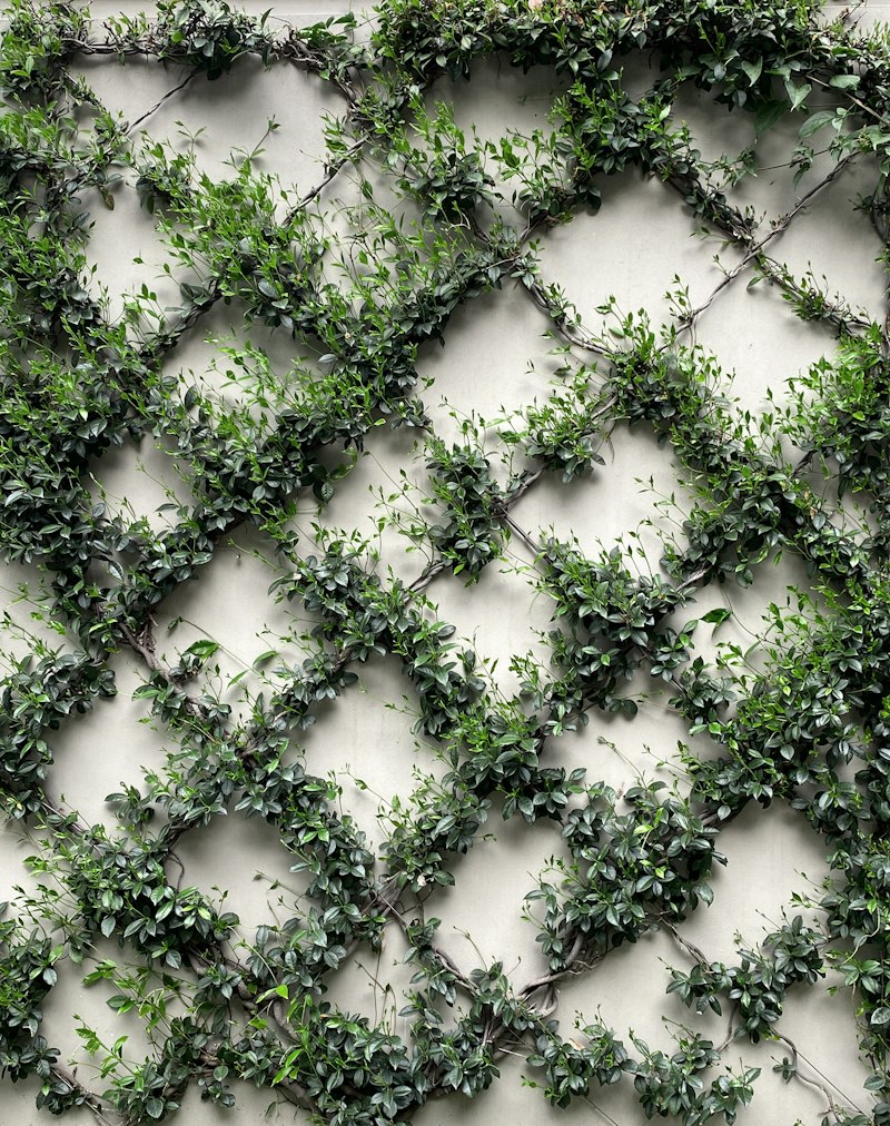 Jardines verticales: naturaleza en espacios pequeños